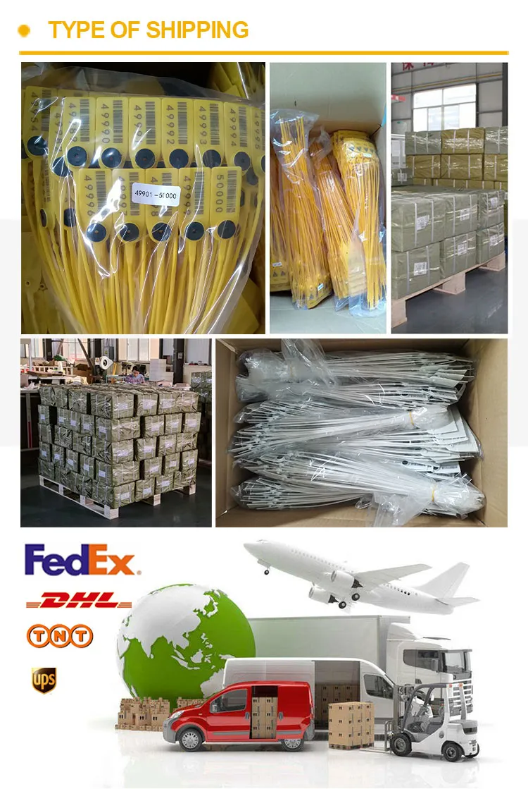 Versand & Transport Shipping&Transportation