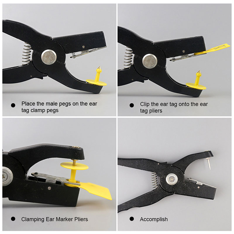 Anwendungen für Tierohrmarken Anwendungen für Tierohrmarken