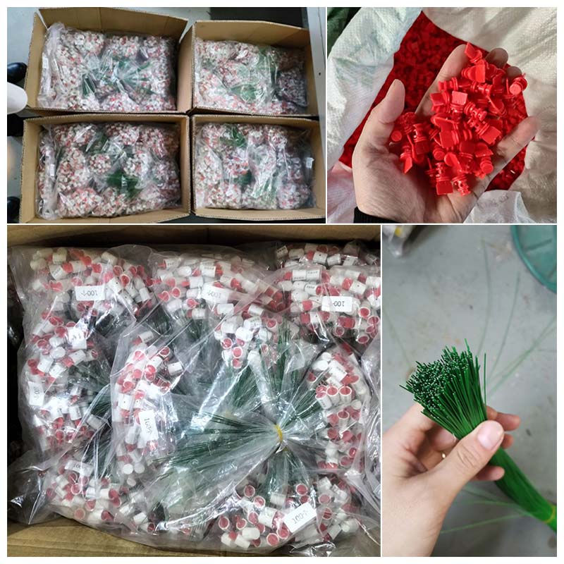 1719537619674905.jpg 耳朵封03.jpg